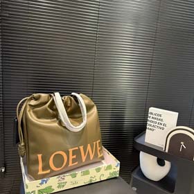 LOEWE bag（30+styles)-1478